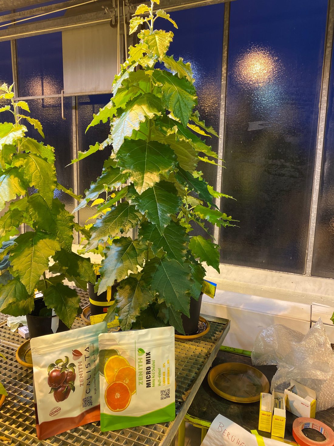 Plant research and crop evaluation at ZENITH