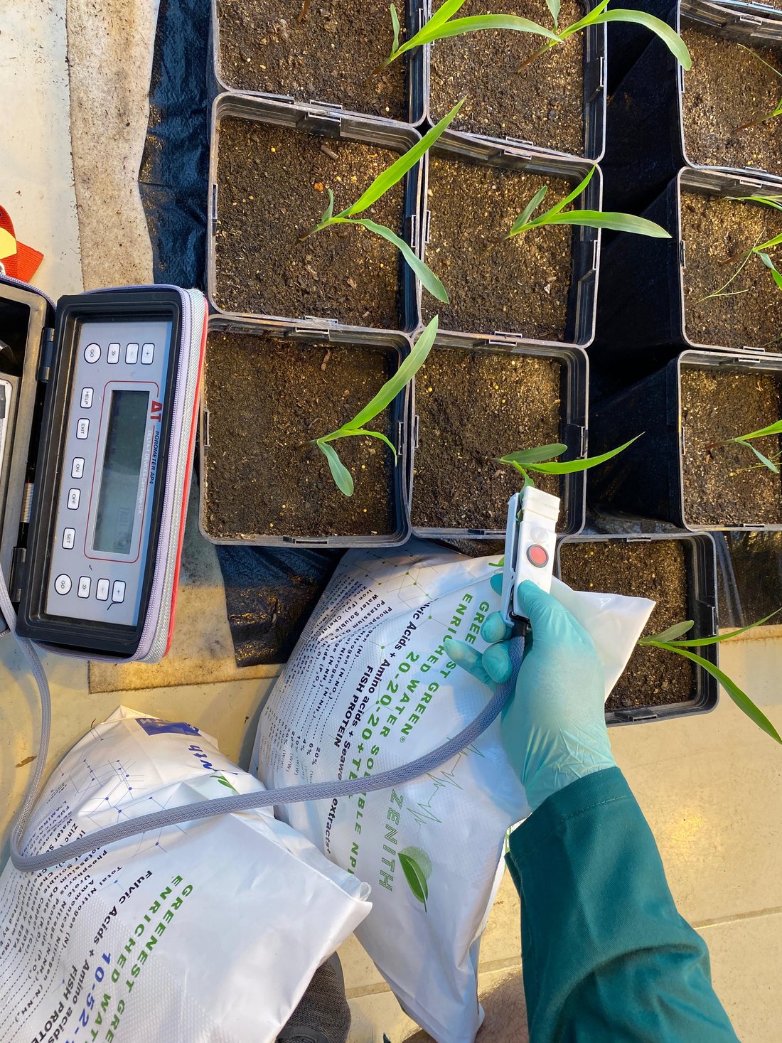 Porometer sensor head clamped to a treated leaf