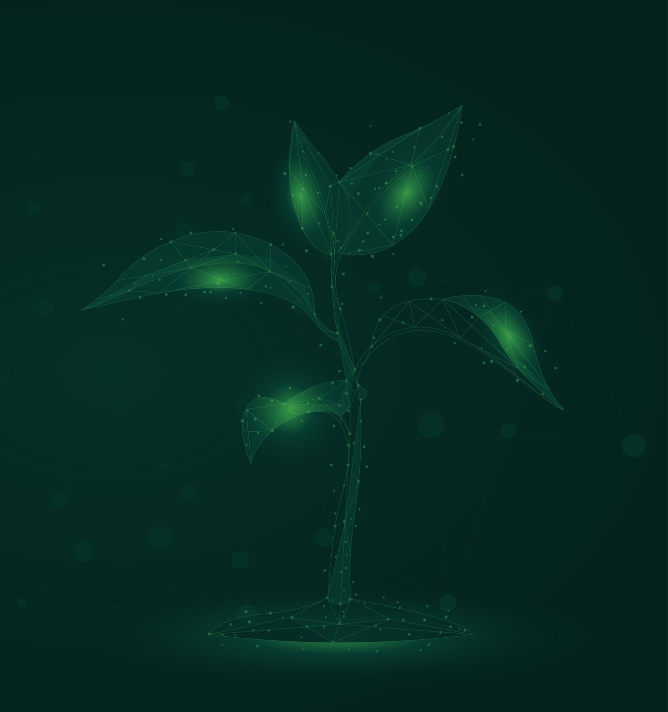 Low-polygon illustration of a seedling, representing computational plant research
